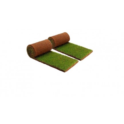 PetZolla True Green Meadow Sod