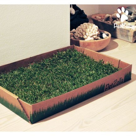 PetZolla True Green Meadow Sod