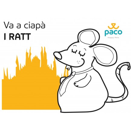 T-shirt "Va a ciapà i ratt" régulier 100% coton pour femme