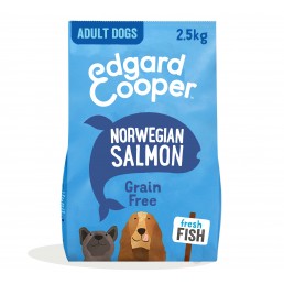 Edgard Cooper à la viande fraîche de saumon norvégien pour chiens