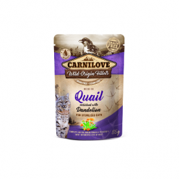 Carnilove Wild Origin Fillets nourriture humide pour chats