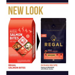 Regal Ocean Recipe con Salmone per Cani