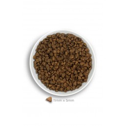 Amanova Adult Mini Sensitive Lachs für Hunde