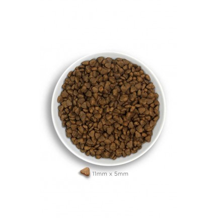 Amanova Adult Mini Sensitive Lachs für Hunde