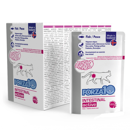 Forza10 Intestinal Active Alimento fresco para gatos