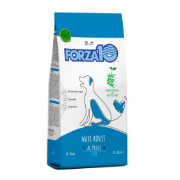 Forza10 Maxi Adult...