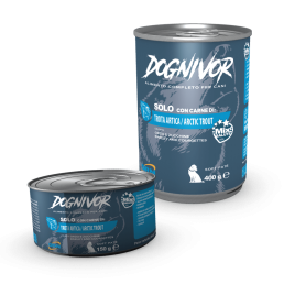 Dognivor Comida húmeda para perros