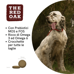 The Red Oak Maiale e Mele Grain Free per Cani