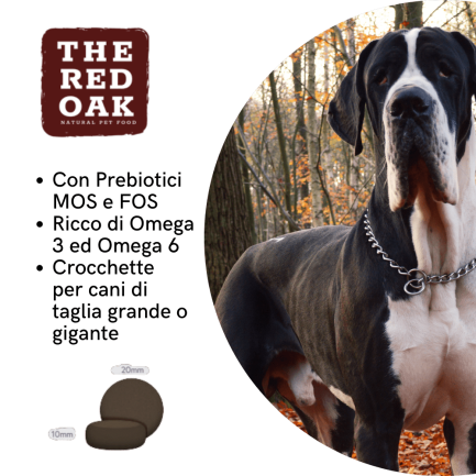 The Red Oak Trota e Salmone Grain Free per Cani di Taglia Grande