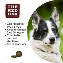 The Red Oak Light Senior Trota e Salmone Grain Free per Cani