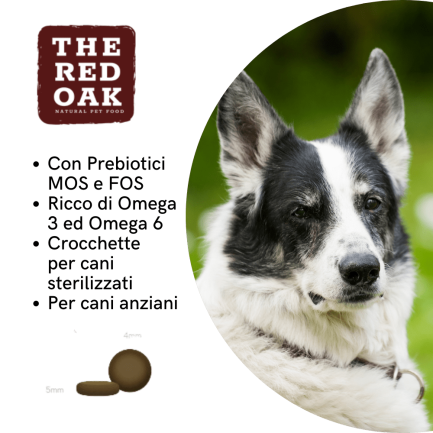 The Red Oak Light Senior Trout and Salmon Grain Free for Dogs