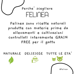 Felinea Sterilized Anatra e Sardine Grain Free per Gatti