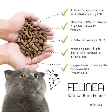 Felinea Sterilised Duck and Sardines Grain Free for Cats (Canard et sardines stérilisés sans céréales pour chats)