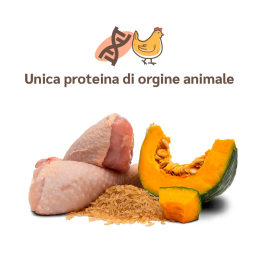 Amusi Pollo Fresco Riso Integrale e Zucca per Cuccioli