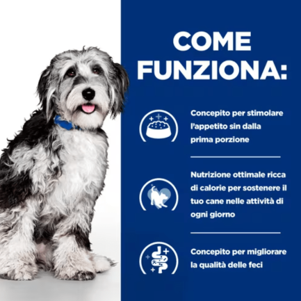 Hill's Prescription Diet On-Care Spezzatino per Cani