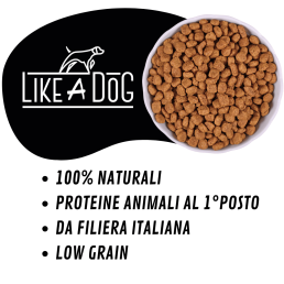 Like A Dog Low Grain Salmon Mini für kleine Hunde