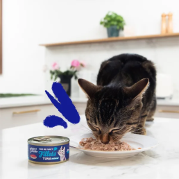 Edgard Cooper Natural Fillets for Cats