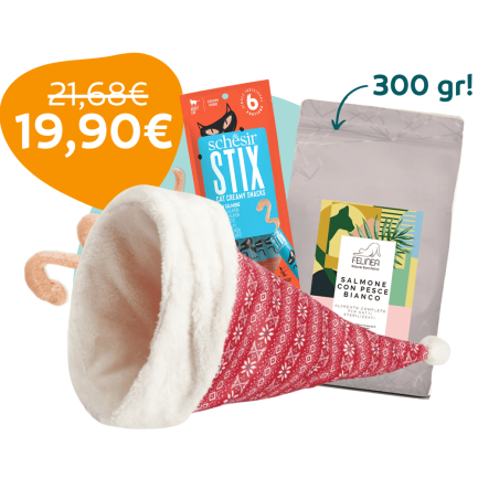 GiftBox Arthur pour chats