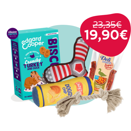 Geschenkbox Fido für Hunde