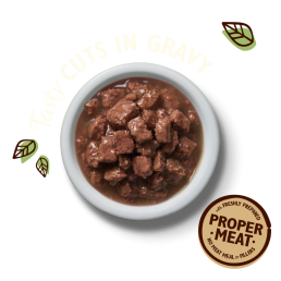 Lily's Kitchen Tasty Cuts in Gravy Wet Food for Cats