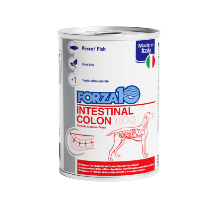 Forza10 Intestinal Colon Comida húmeda para perros