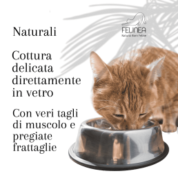 Felinea Nourriture humide au boeuf pour chats