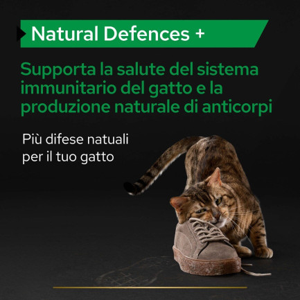 Purina Pro Plan Supplément Natural Defence + pour chats