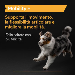 Purina Pro Plan Dog Supplement Mobility + pour chiens