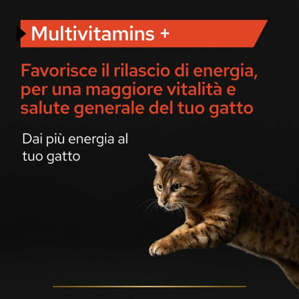 Purina Pro Plan Cat Supplement Multivitamin + für Katzen