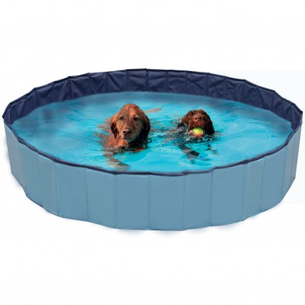 Piscina per Cani Explorer