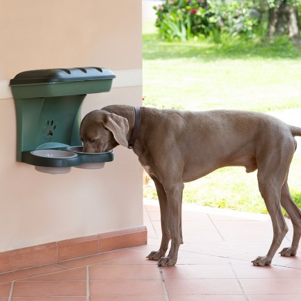 Food Stand Ciotole da Parete per Cani