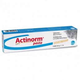 Actinorm Paste pour les chats