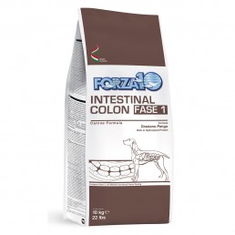 Forza10 Intestinal Colon...