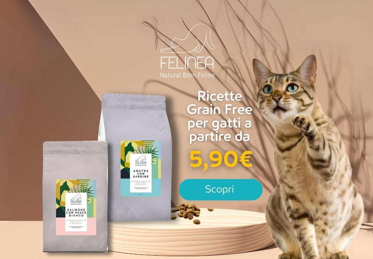 Felinea cibo secco gatto da 5,90€