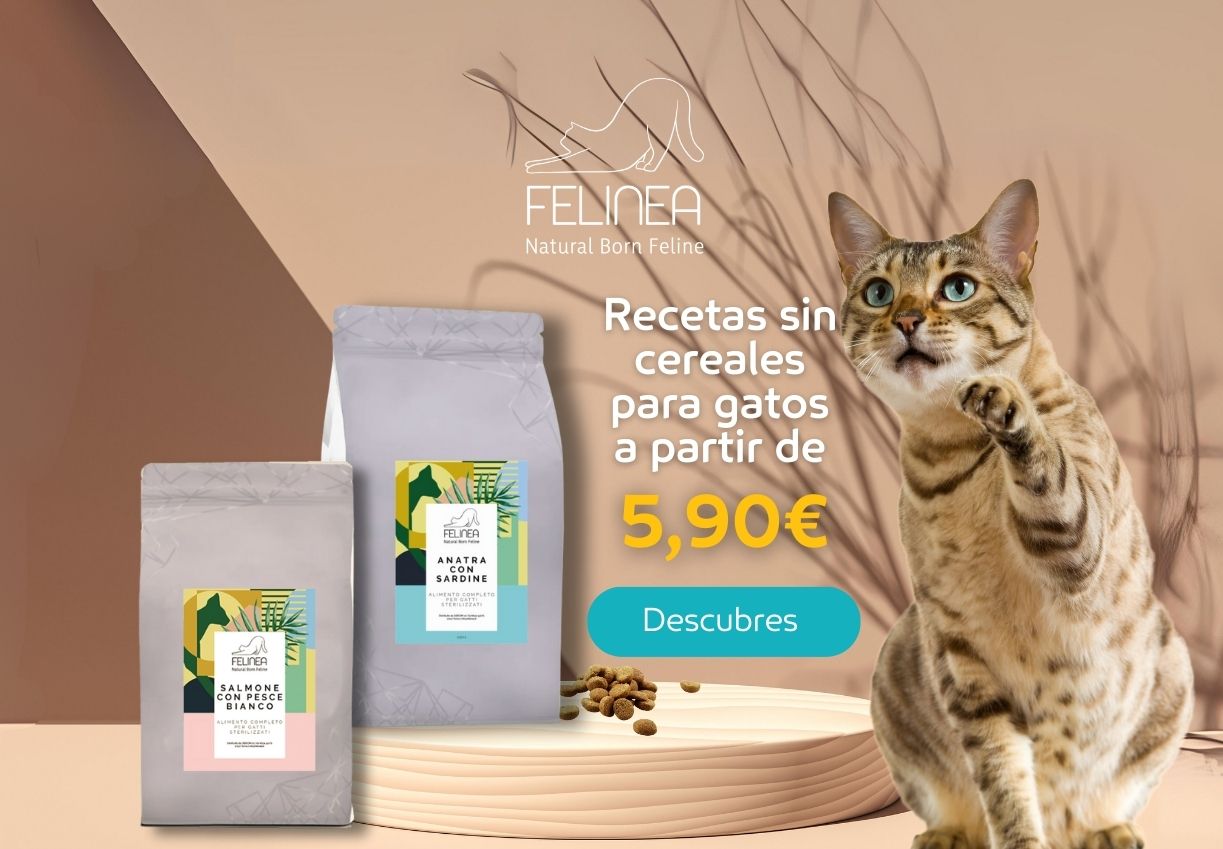 Paco Pet Shop