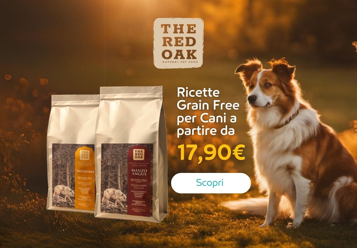 The red Oak da 17,90€