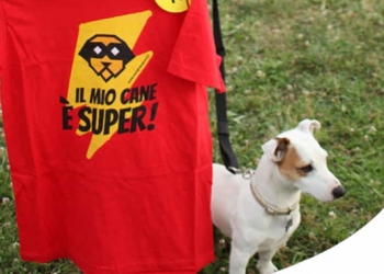 IL TUO CANE È UN SUPER-EROE?