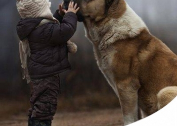 6 BUONI MOTIVI PER CUI AI BAMBINI FA BENE AVERE UN CANE O UN GATTO