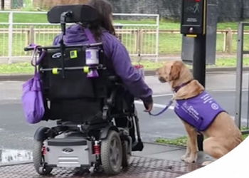 CANI D'AIUTO AI DISABILI MOTORI: I CANI PROTESI