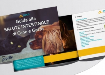 Paco Pet Shop - GUIDA ALLA SALUTE INTESTINALE DI CANE E GATTO: SINTOMI, CAUSE E RIMEDI