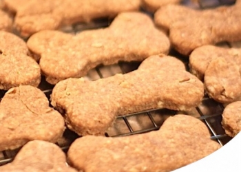 BISCOTTI PER CANI: FATTI IN CASA O GIÀ PRONTI?